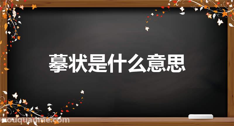 摹状是什么意思 摹状的读音拼音 摹状的词语解释